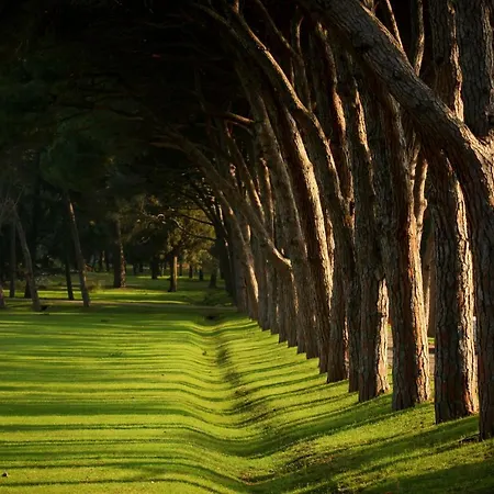 Appartamento Alba